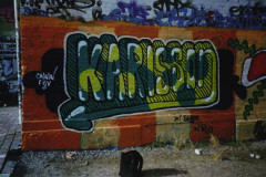 karlsson6