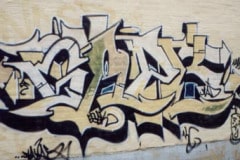 Saek01