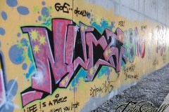 mini-cimg3036_91447160
